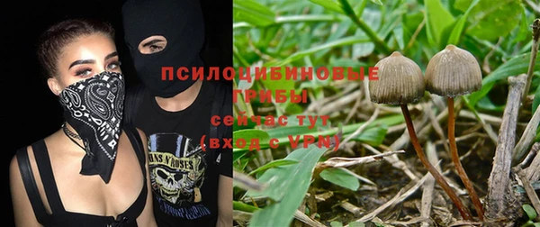спайс Абаза